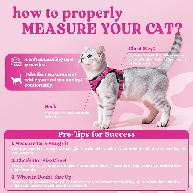 rabbitgoo Cat Harness and Leash - Image 2