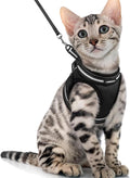 rabbitgoo Cat Harness and Leash Set by rabbitgoo