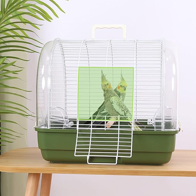 Transparent Small Bird - Image 3