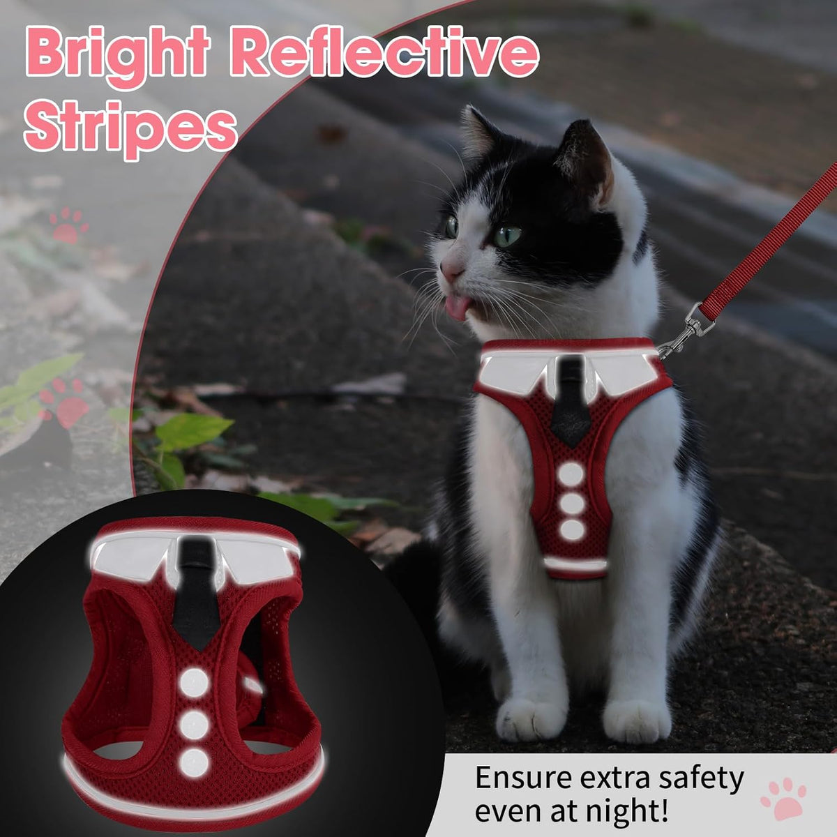 Cat Harness and Leash Set for Walking Escape Proof Vest for Kitten