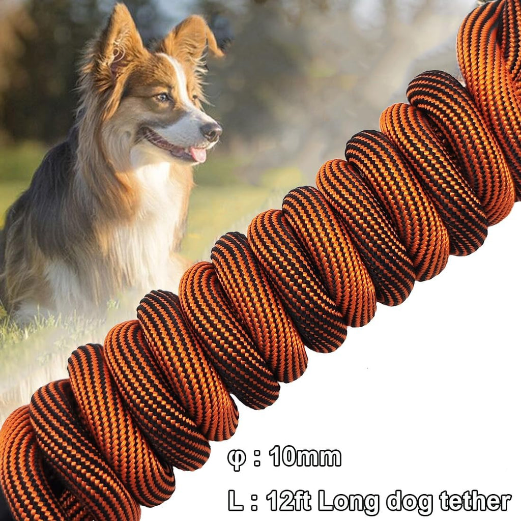 12ft Dog Tie Out + 15ft Long Dog Leash