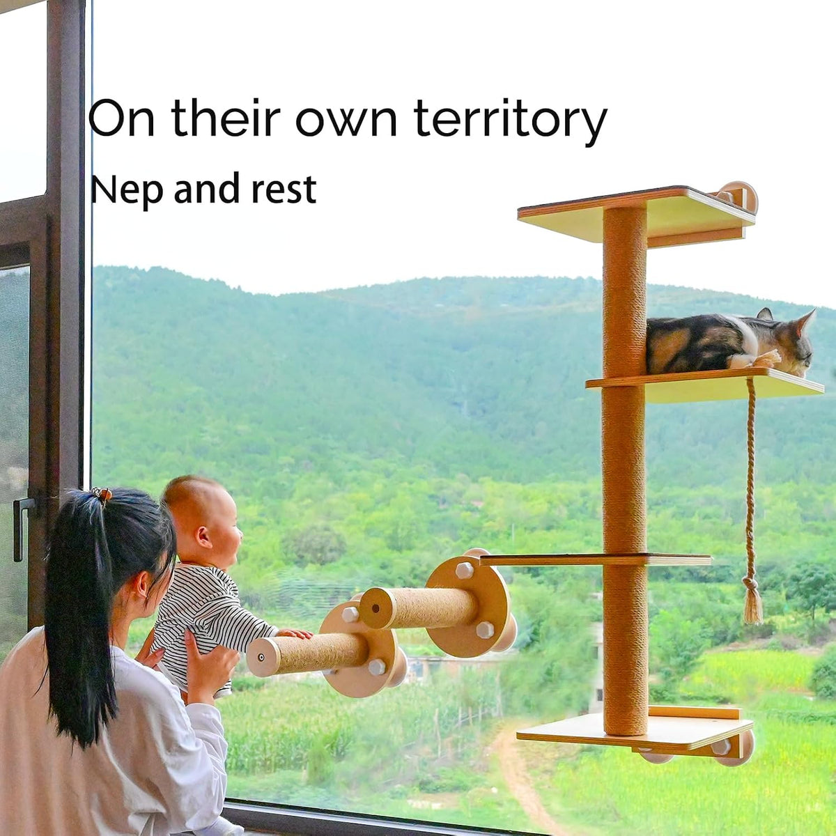 Cat Window Perch and Cat Wall Shelves 2 in 1 Cat Scratching Activity Tree Wall Mounted, Cat Scratch Post for Cats, Kittens with Cat Bed