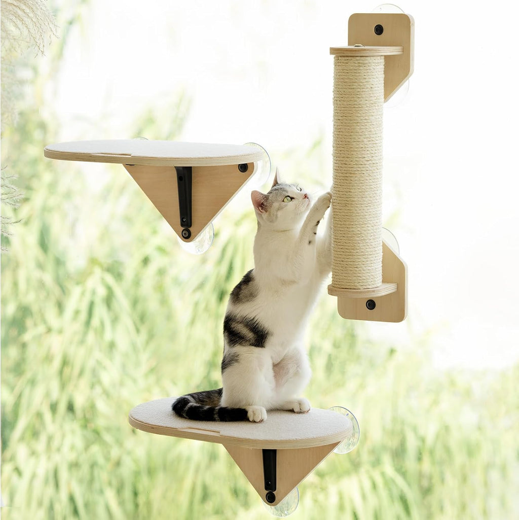 EDAGNY Cat Window Perch Steps for Climbing with Strong Suction Cups,1pcs