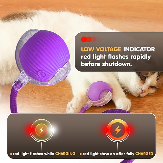 Rocfish Durable Interactive Cat Toys - Image 7