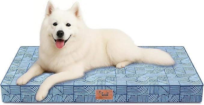 Outdoor Large Washable Dog Bed, Orthopedic Egg Crate Foam Dog Crate Mat by TailStories