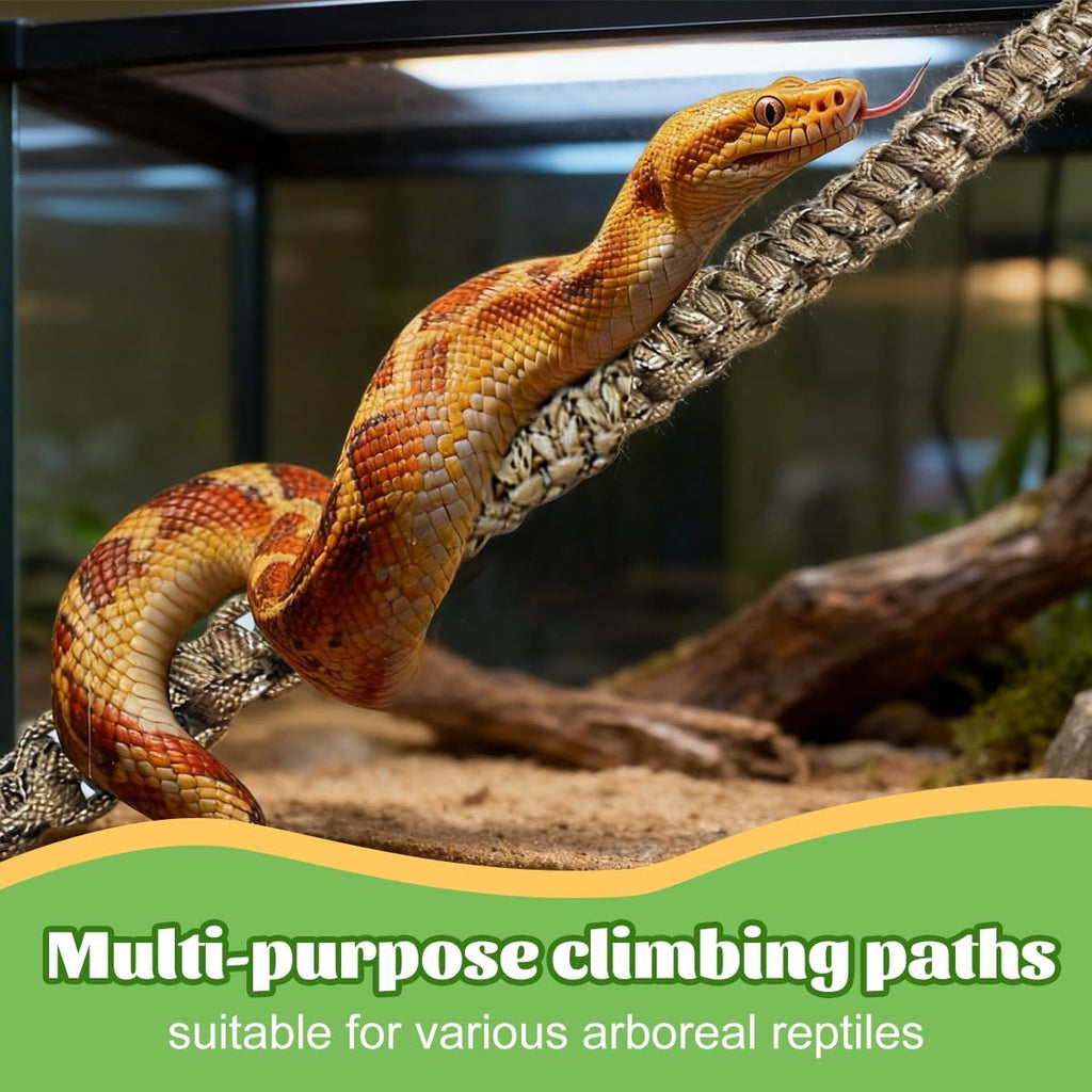2 Pcs Snake Climbing Accessories, Reptile & Snake Climbing Ring Set with Suction Cups, Enrichment Toy for Ball Python, Corn Snake, Bearded Dragon, Lizard Tank Accessories