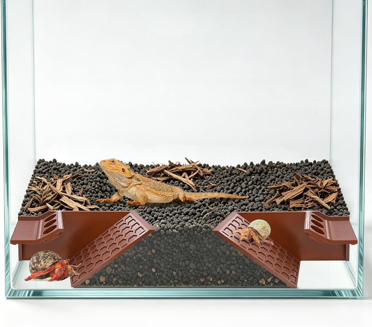 Hermit Crab Cave Hideout