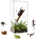 Tall Jumping Spider Enclosure, 6×6×11 in Front Opening Enclosure