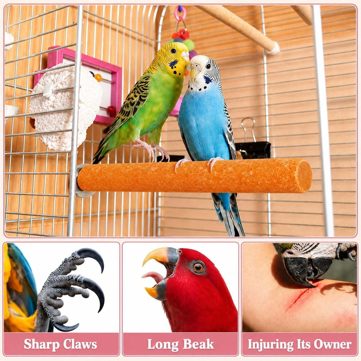 ASelected 14 PCS Bird Perch, Bird Cage Accessories Including Wood Parrot Stand Platform and Birds Nail Trimming Sticks, Colorful Parakeet Toys for Budgies, Parakeet, Cockatiel