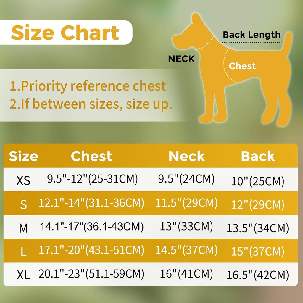 JoyDaog Dog Raincoat with Hood, Waterproof Dog Rain Jacket for Small Dogs