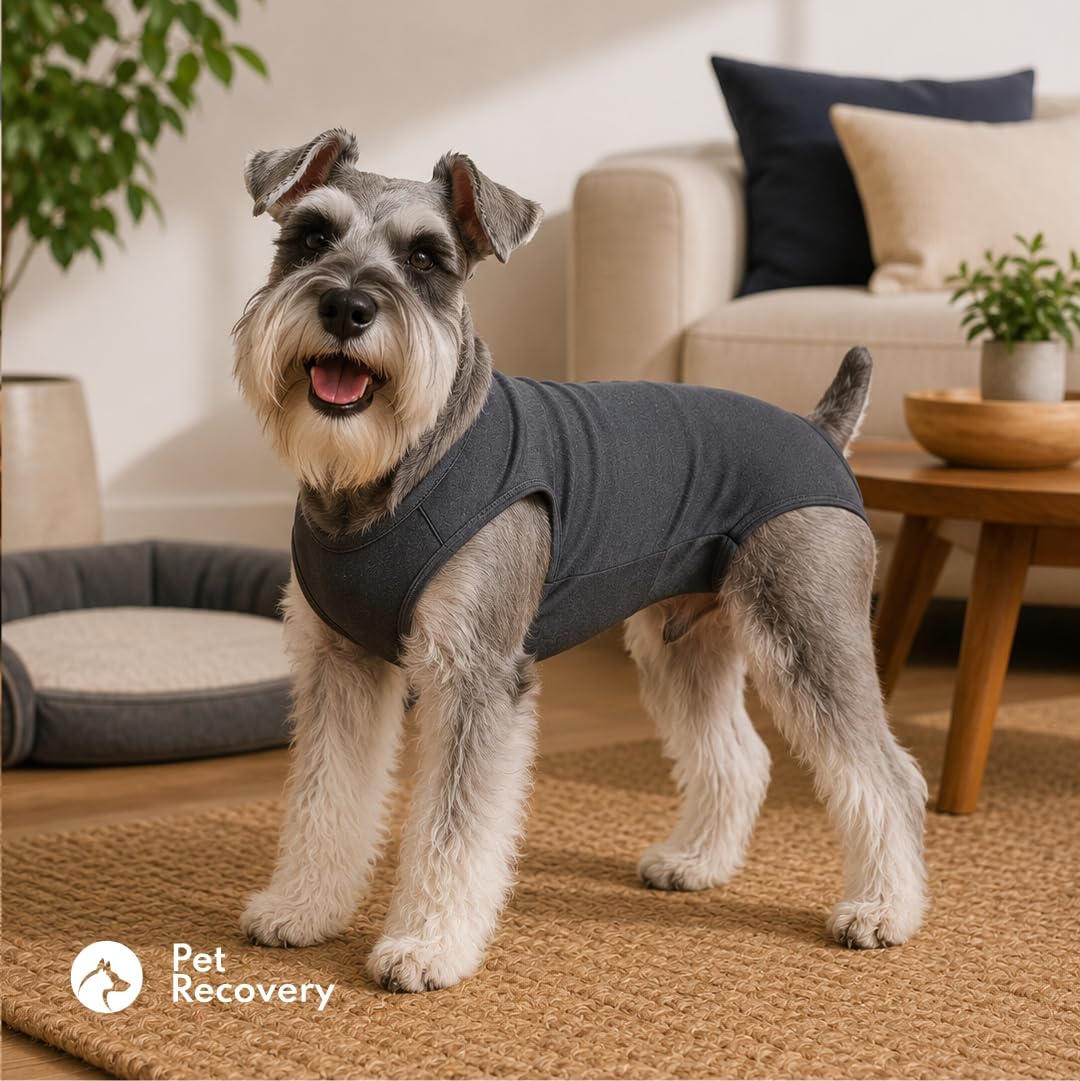 Post-Surgery Recovery Suit for Dogs. Traje Post quirurgico para Perros y Gatos, ropa de recuperacion de mascotas operadas, Cats, Yorkie, zhith tzu, Gatos, 8-15lb (Small)