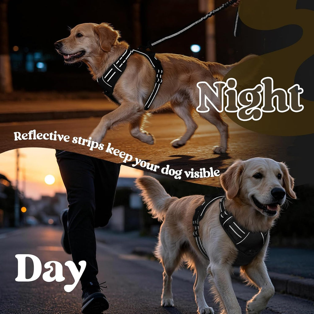 rabbitgoo Dog Harness, No Pull Medium Sized with 2 Leash Clips, Pet Vest