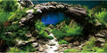 72x24 in Arch Stone Aquarium Backdrop Aquatic Plant Fish Tank Background