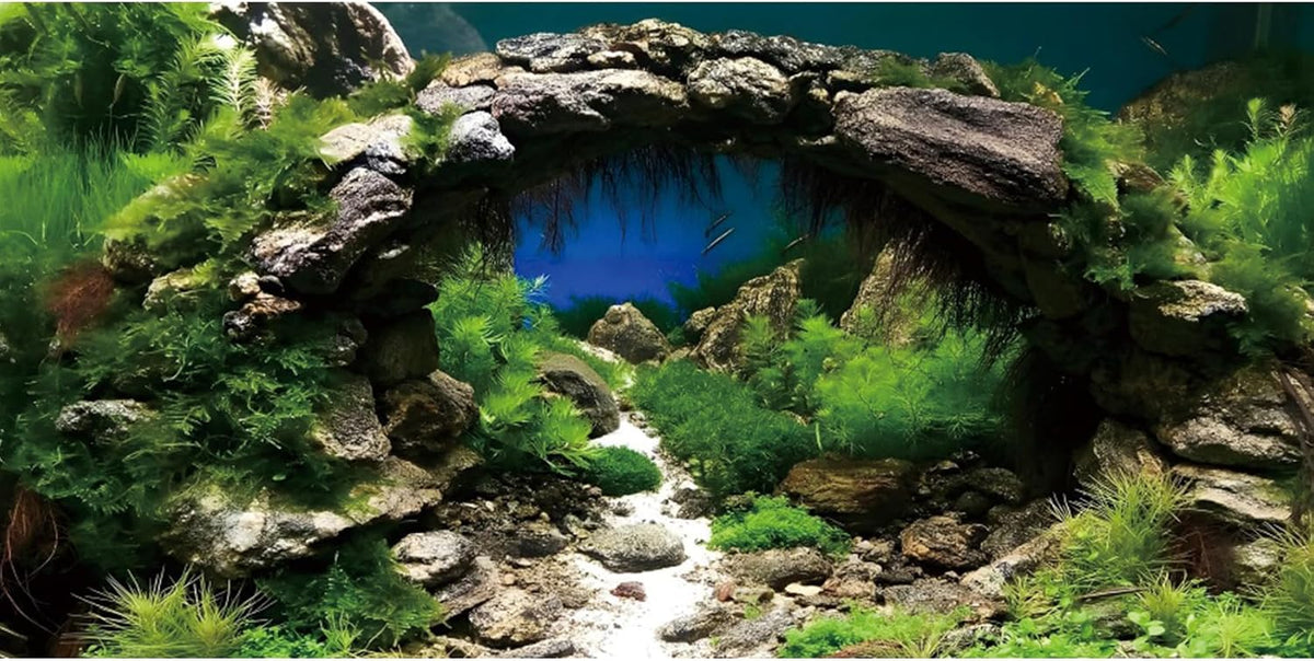 72x24 in Arch Stone Aquarium Backdrop Aquatic Plant Fish Tank Background