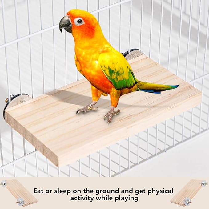 2Pcs Solid Wood Parrot Stand and Small Animal Climbing Platform - Image 7