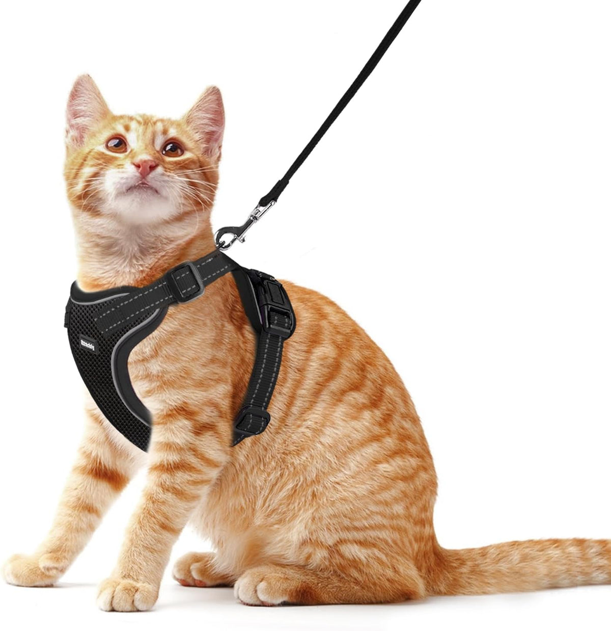 Cat Harness and Leash Set, Escape Proof Cat Harness with Reflective Strips, Breathable Mesh Vest, Adjustable Walking Harness for Indoor Outdoor Cats, Kittens, Small Medium Large Cats (Green, M)