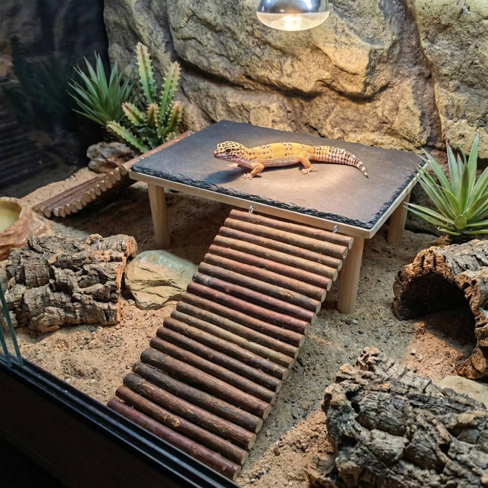 Large Reptile Basking Platform with Slate Top and 2 Willow Wood Ladders, 11.8 x 7.9 in Raised Climbing Ramp for Bearded Dragons, Leopard Geckos, Lizards, Tortoises, Toads and Terrariums