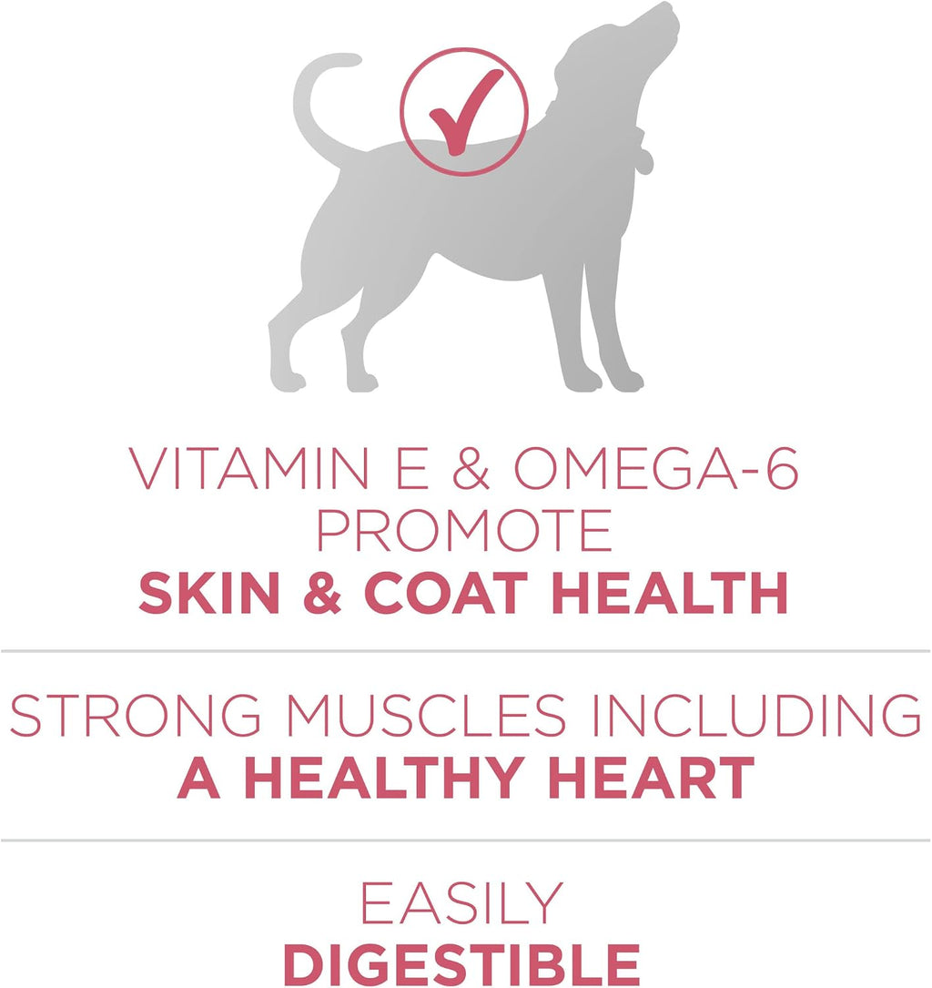 Purina ONE Plus Skin & Coat, Sensitive Stomach Dry Dog Food, 31.1 lb Bag