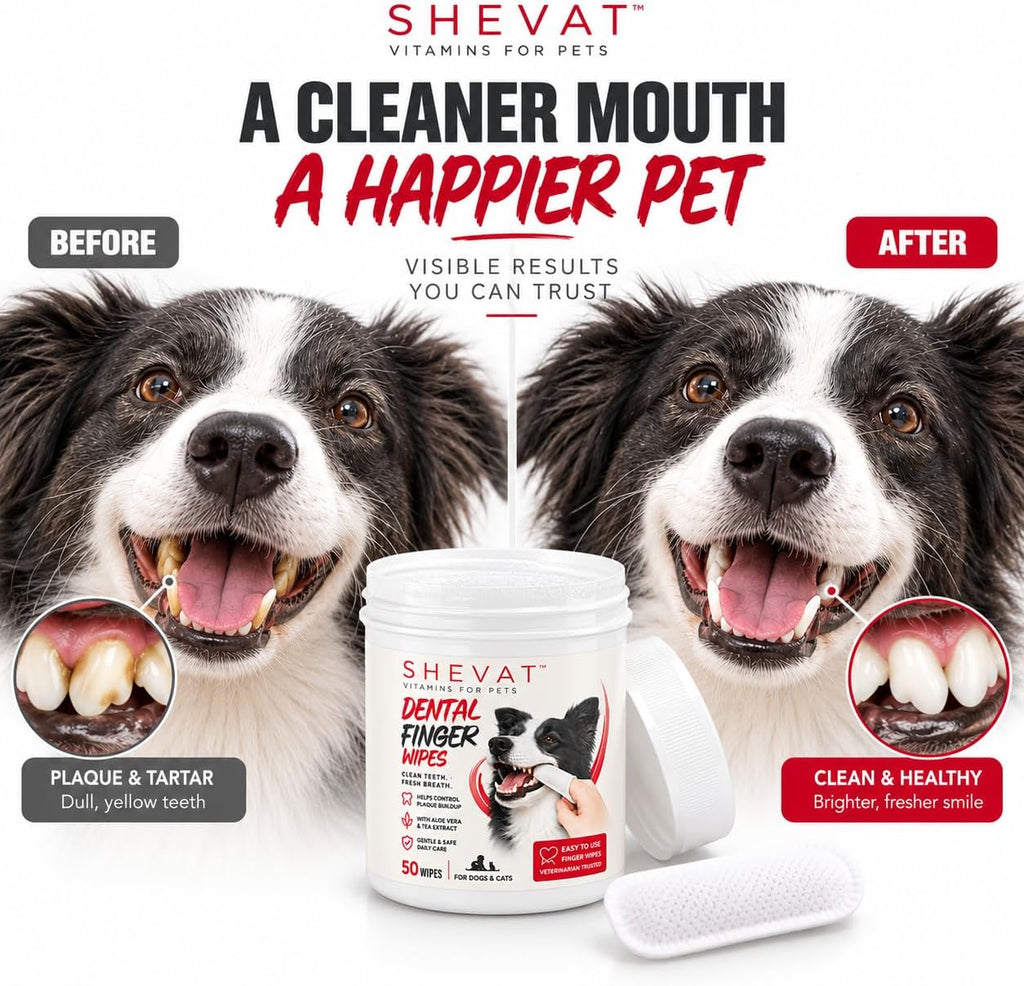 Shevat Pet Dental Finger Wipes for Dogs & Cats - 50 Finger Tooth Wipes with Aloe Vera & Peppermint - Removes Plaque & Tartar, Freshens Breath, No Brushing or Rinsing, Vet Formulated Dental Care