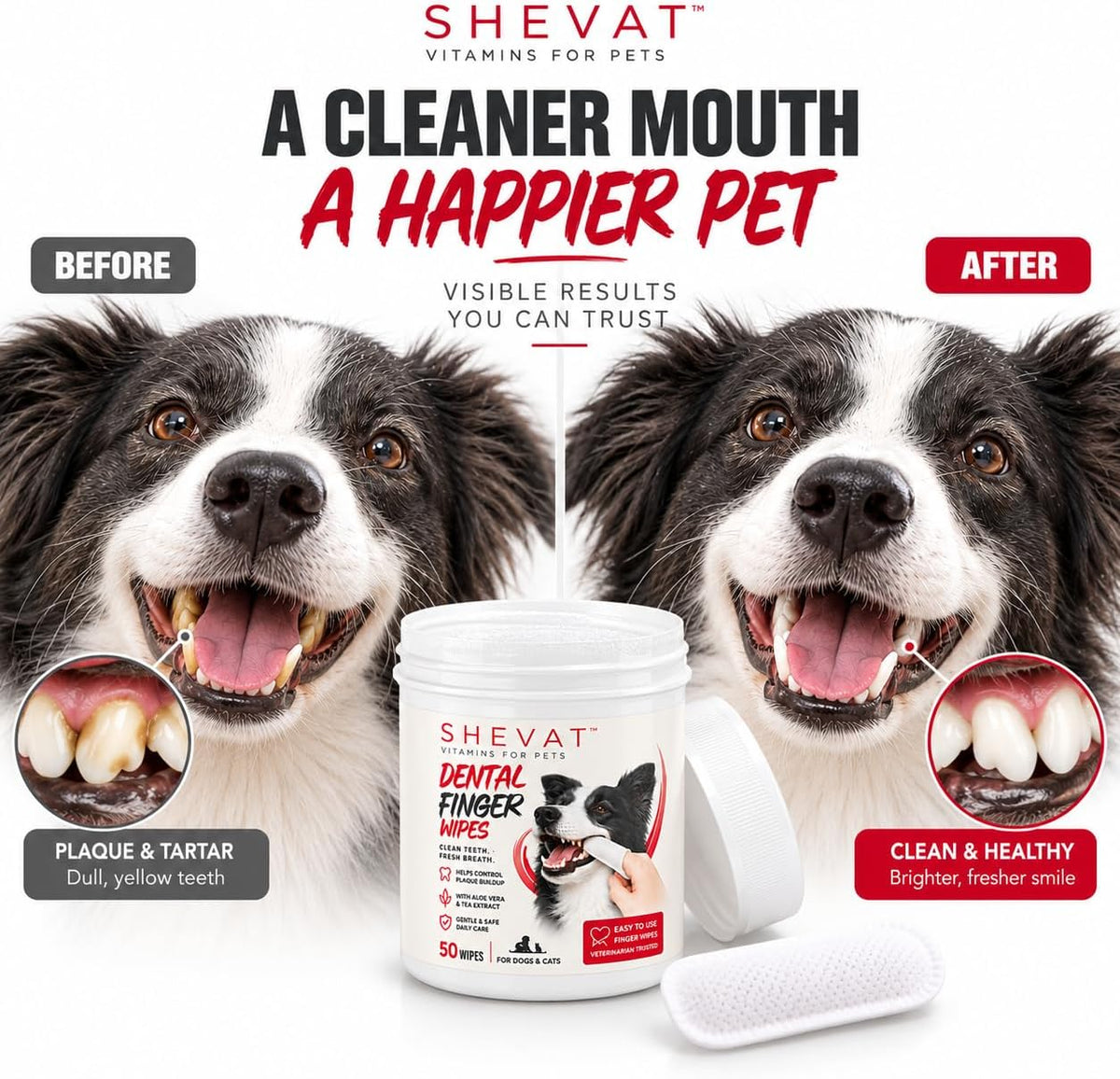 Shevat Pet Dental Finger Wipes for Dogs & Cats - 50 Finger Tooth Wipes with Aloe Vera & Peppermint - Removes Plaque & Tartar, Freshens Breath, No Brushing or Rinsing, Vet Formulated Dental Care