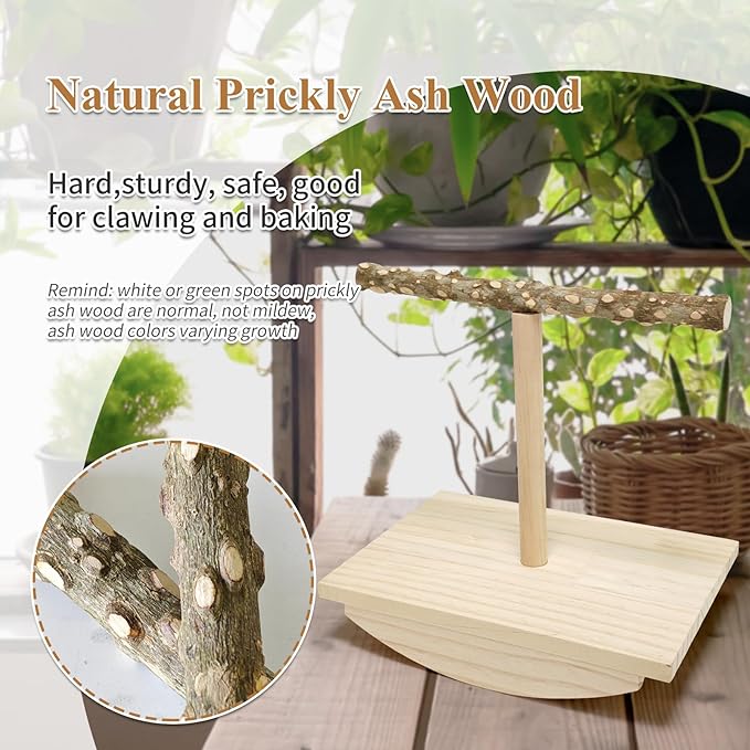 Natural Wood Bird Perch Stand, Rocking Perch - Image 2