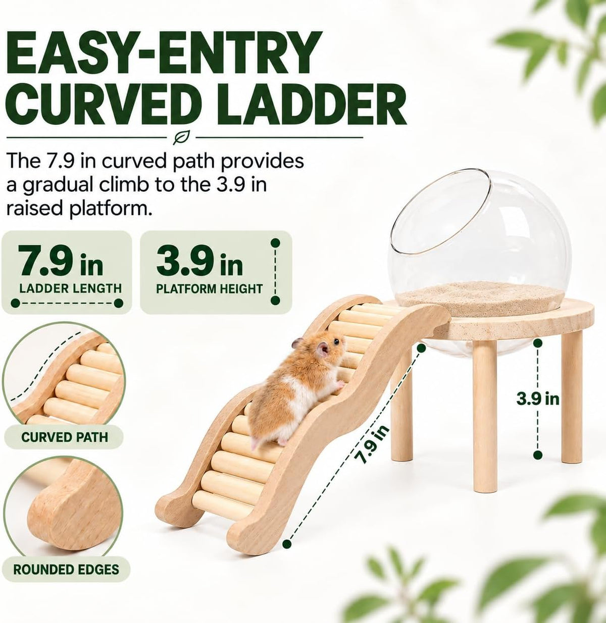 Hamster Sand Bath Container with Clear Dome and Ladder