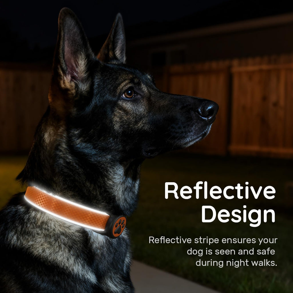 Reflective Dog Collar with Airtag Holder, IPX8 Waterproof Air Tag Dog Collar Holder | Ultra-Durable | Soft Padded | Safety Locking Buckle | Fit Small Dogs (OrangeXS(8"-12"))