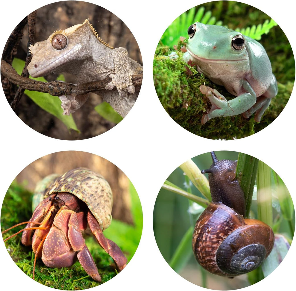 REPTI ZOO Reptile Hide, Multifunctional with Suction Cup, Resin Reptile Hides, and Caves for Reptiles, Gecko, Lizard (Ganoderma Lucidum Shape)