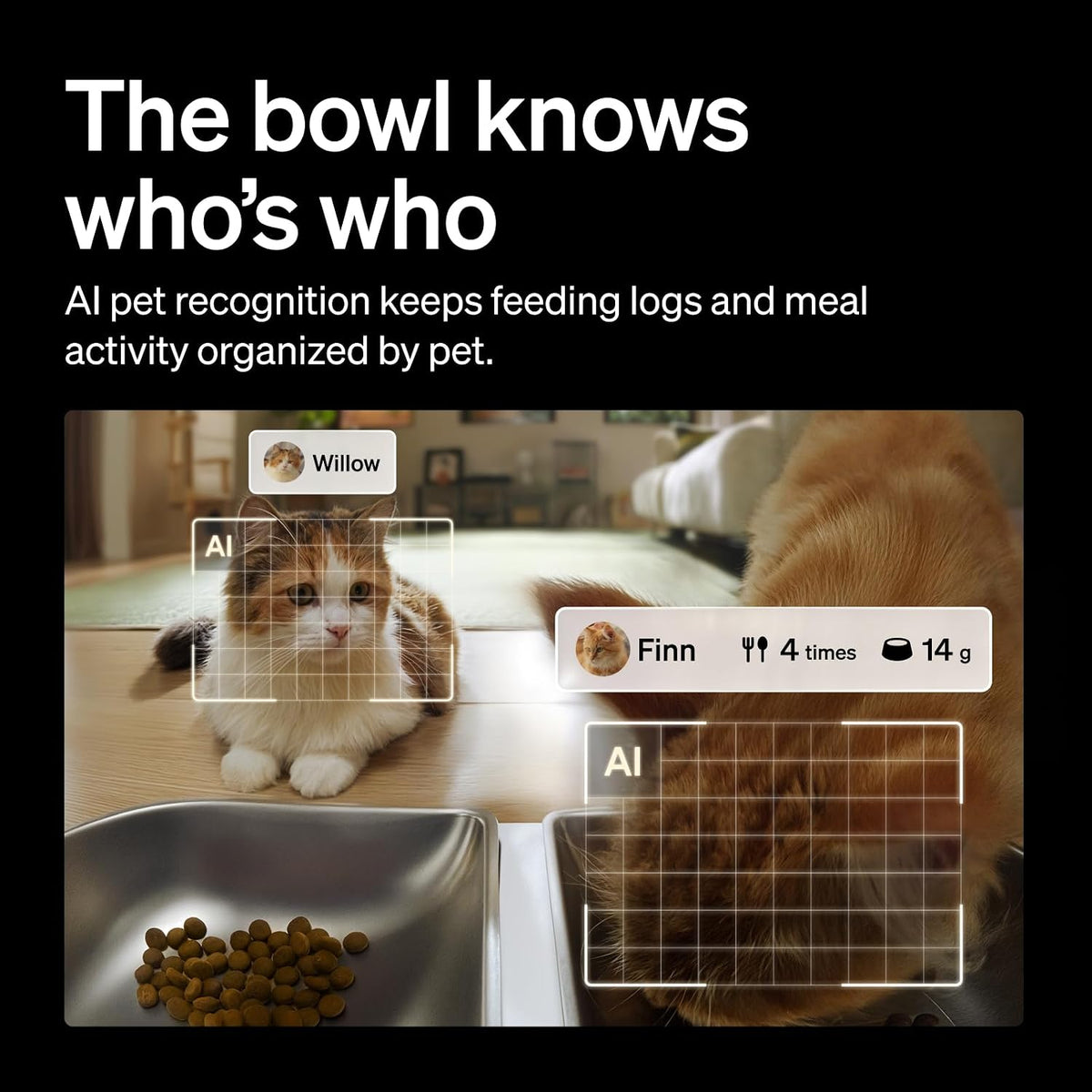PETLIBRO Automatic Cat Feeder for 2 Cats, AI Recognition Camera Intake Log
