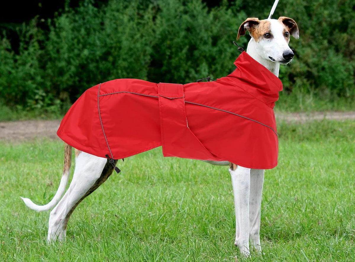 Greyhound Lurcher Raincoat, Whippet Rain Gear with Reflective Bar, Rain/Waterproof, Adjustable Bands and Drawstring in Autumn and Winter - Red - S
