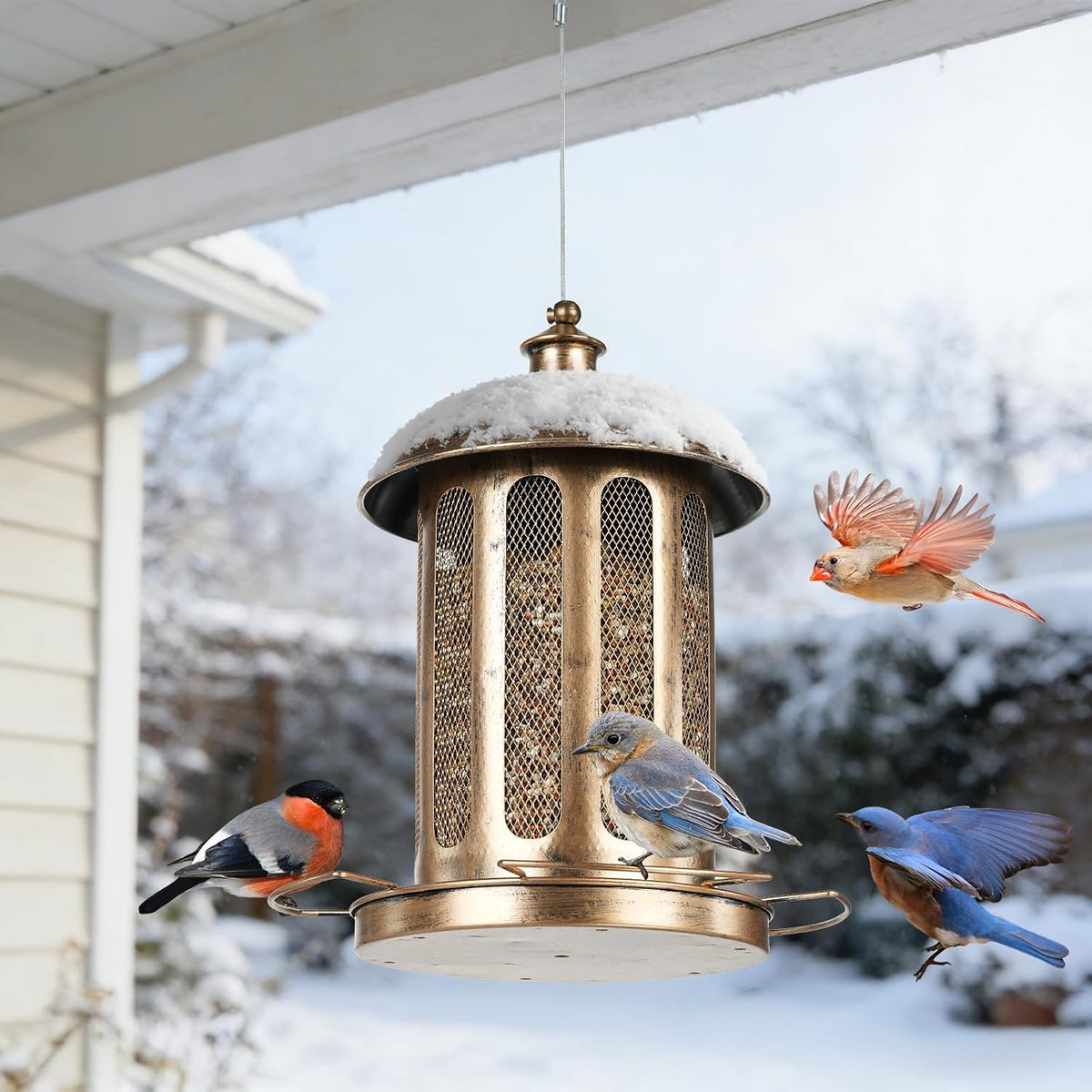Bird Feeder, 4LB Large Capacity Bird Feeders for Outdoor Hanging