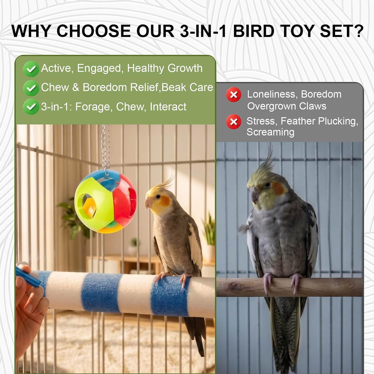 Bird Perch for Cage, 3 Pcs, Parrot Perch for Conure, Cockatiel & Parrot