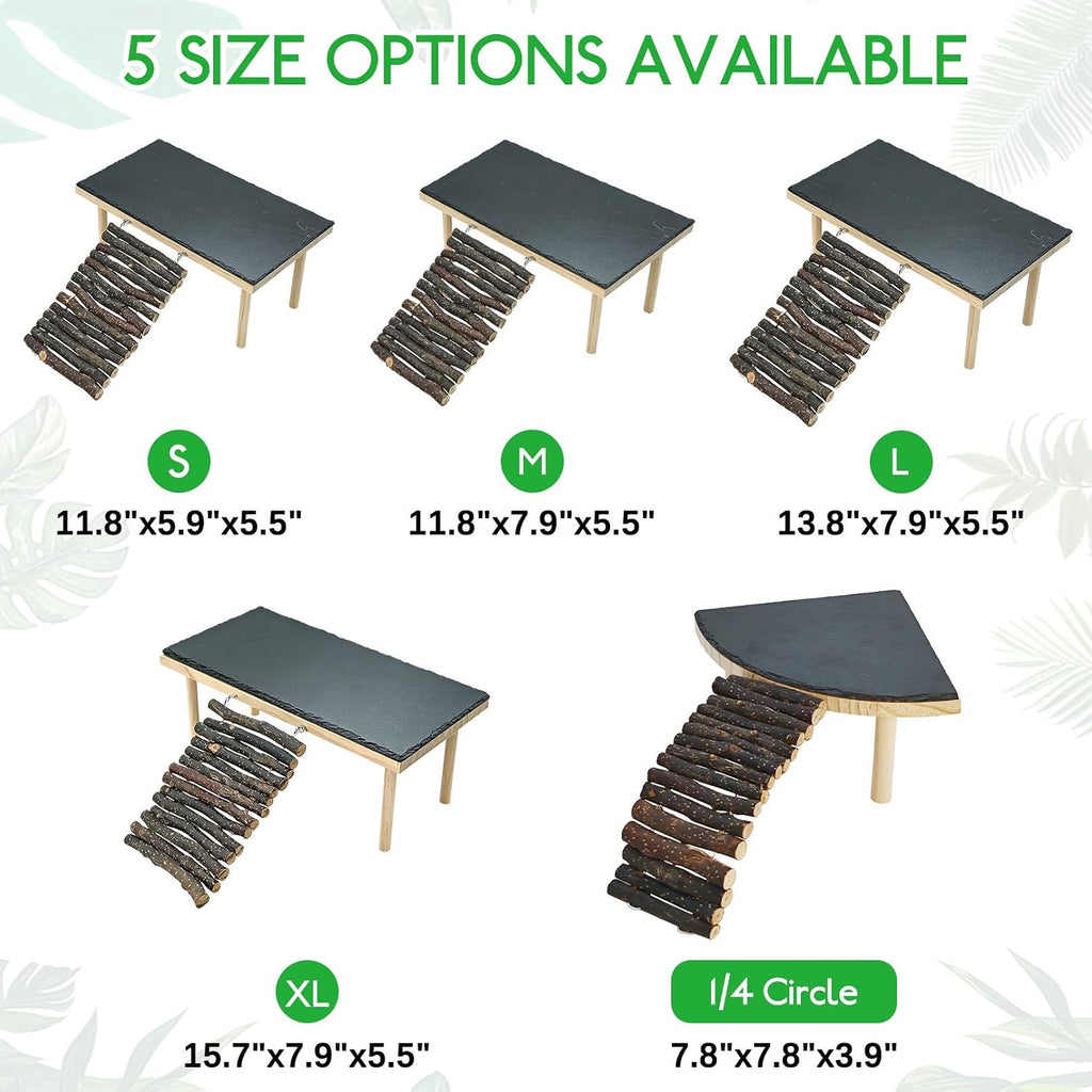 BNOSDM Basking Rock Platform with Climbing Ramp Reptiles Hideout Bearded Dragon Hide Cave Reptile Tank Accessories Suit for Tortoise, Lizard, Toad, Gecko (Large)