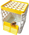 Hermit Crab Bath Pool, Hermit Crab Pool with Detachable Non-Slip Ramp, 2-in-1 Bathing & Feeding Terrarium Habitat Accessory, 3D Printed Anti-Drowning Crawler Basin, Durable Easy Clean Indoor Pet Tank