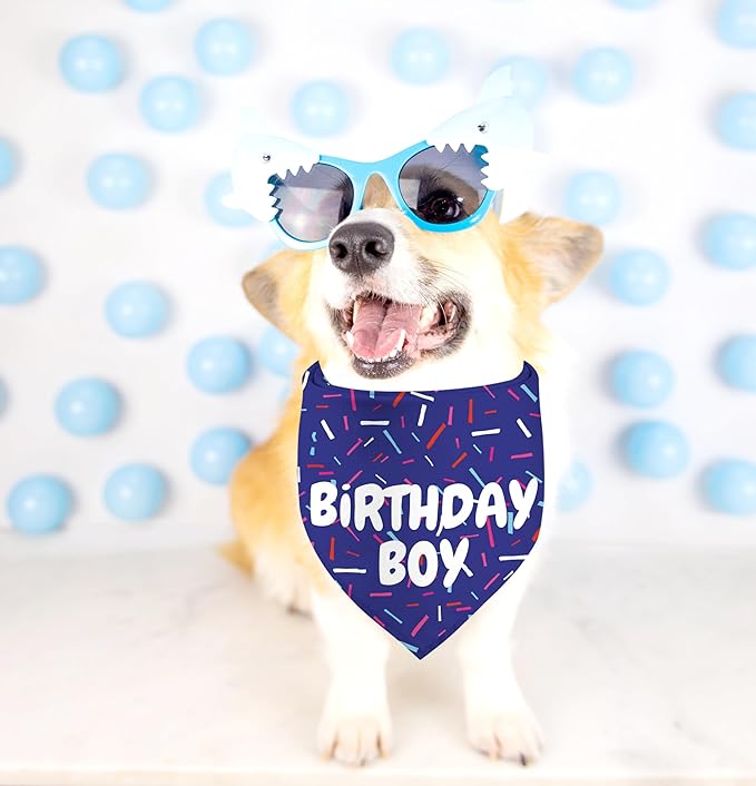 Birthday Boy Dog Bandanas 1 Pack, Pet Scarves - Image 7