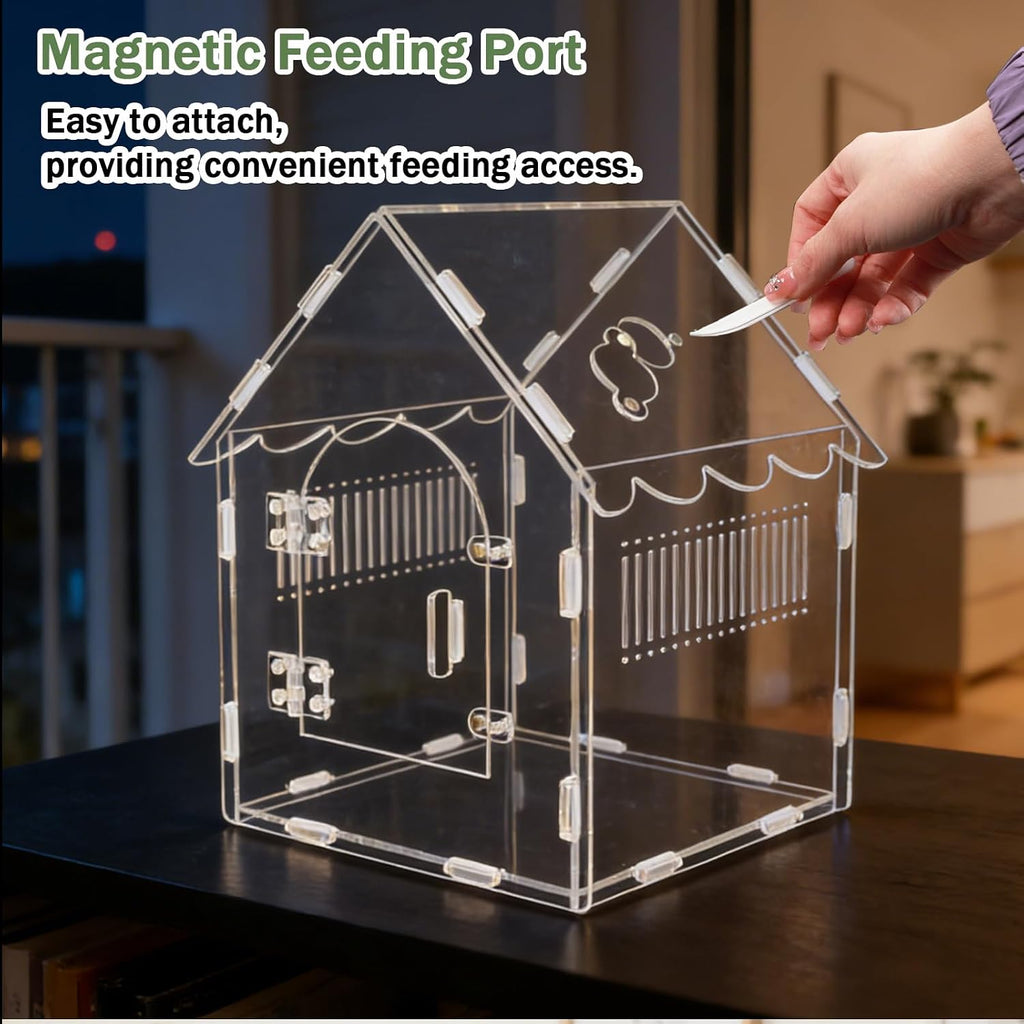 Acrylic Jumping Spider Enclosure 8x8x12 with Magnetic Lock