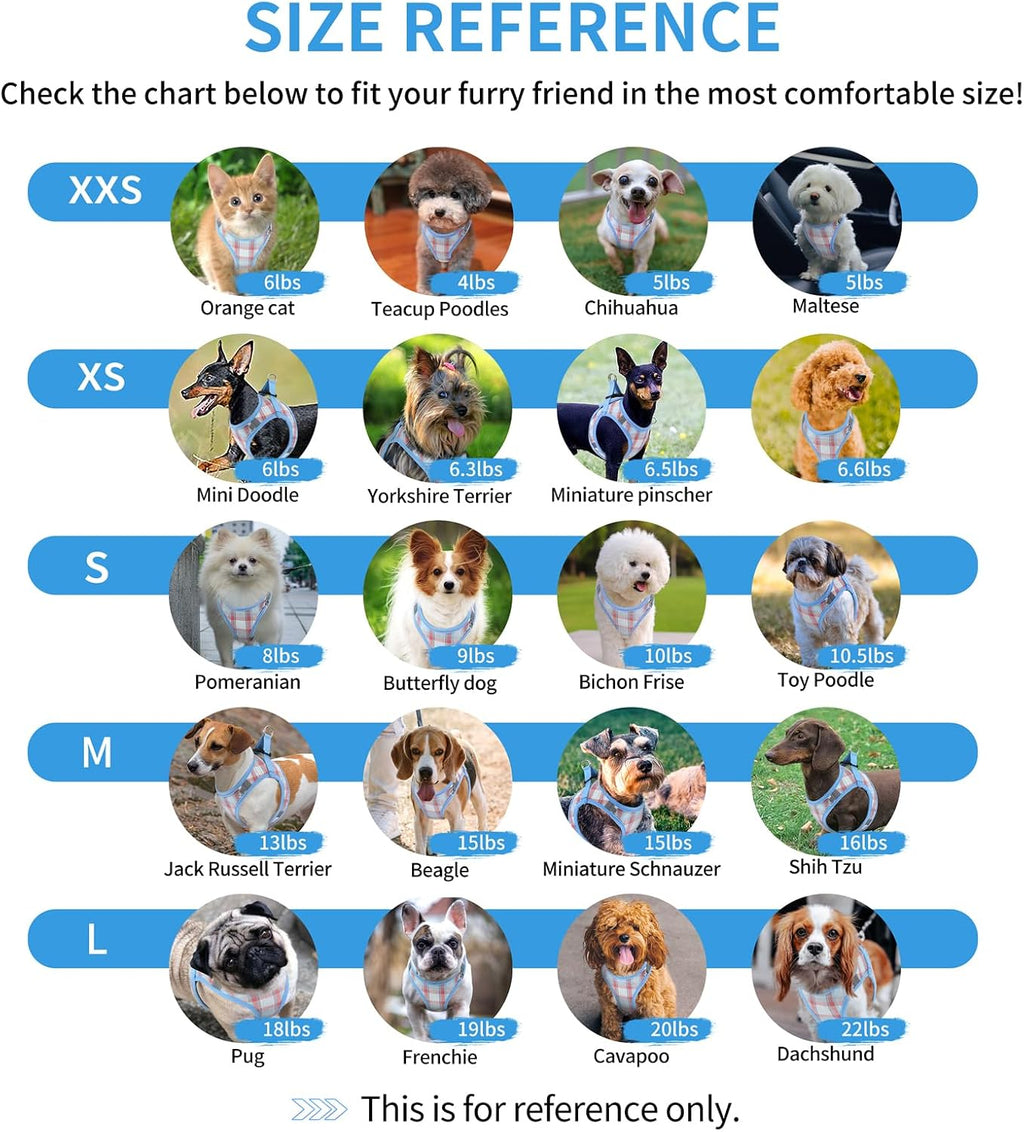 voopet Extra Small Dog Harness and Leash Lightweight Cat Comfort Padded Soft Mesh Vest Step in dog harness No Pull No Choke Reflective Small Plaid Girl & Boy Puppy Kitty Walking Harness, Blue XS