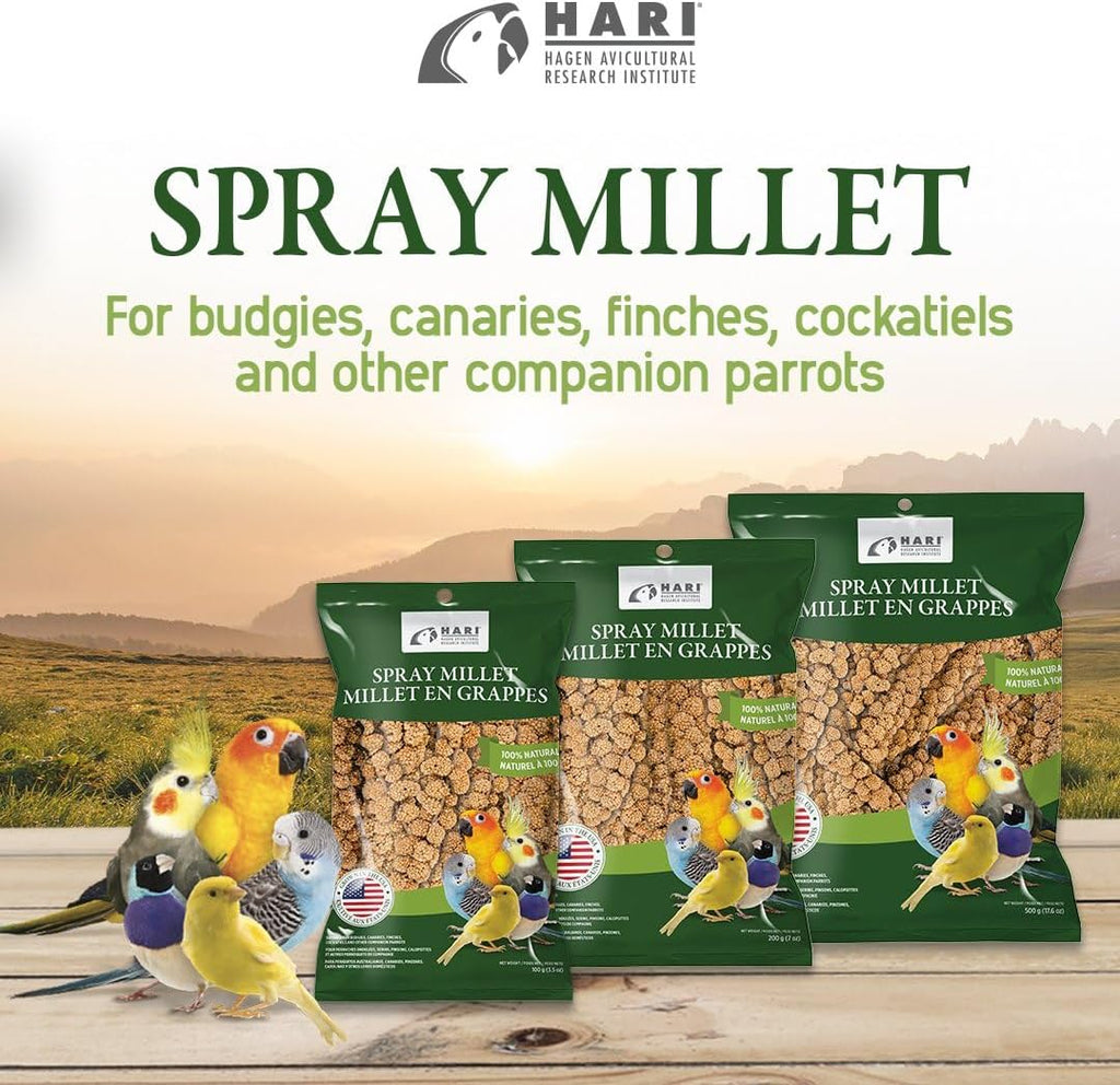 Living World Millet Spray for Birds, 17.6 Oz