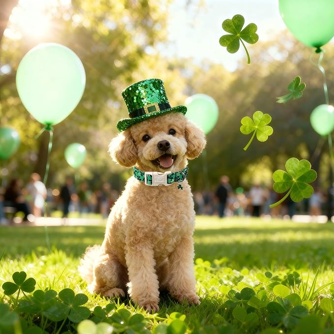 St Patricks Day Dog Collar for Small Dogs - Image 2