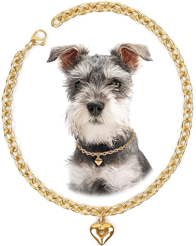 HOWWFALY Dog Collar and Cat Chain Necklace Stainless Steel Adjustable 18K Gold by HOWWFALY