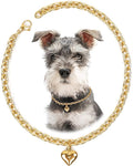 HOWWFALY Dog Collar and Cat Chain Necklace Stainless Steel Adjustable 18K Gold by HOWWFALY