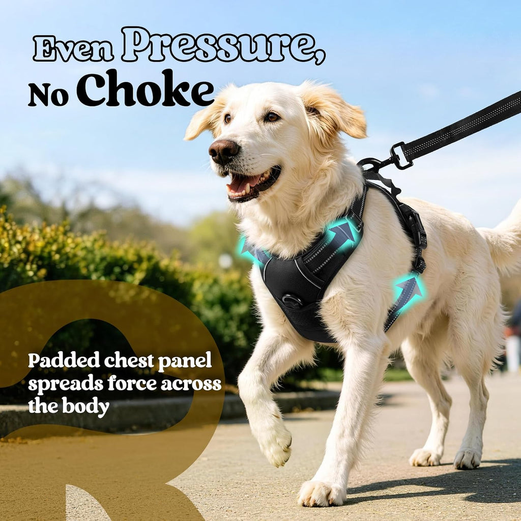 rabbitgoo Dog Harness, No Pull Medium Sized with 2 Leash Clips, Pet Vest