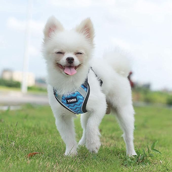 YIMEIS Dog Harness and Leash Set, No Pull Soft Mesh Pet Harness, Reflective - Image 5
