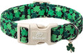 St Patricks Day Dog Collar for Medium Dogs by Babolepet