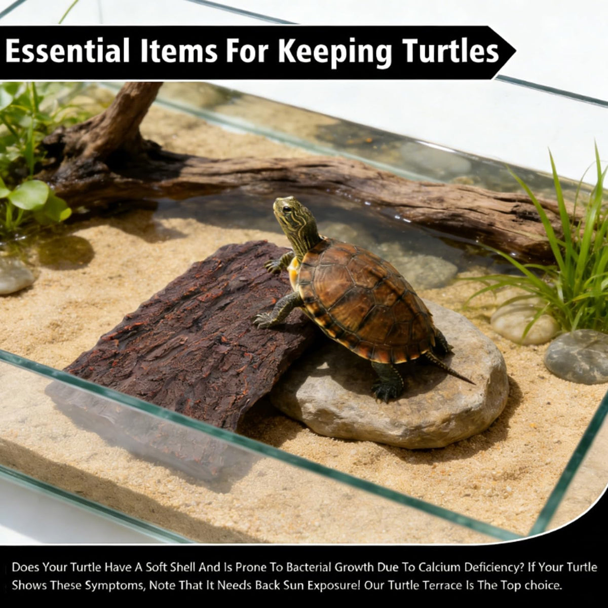Turtle Basking Platform, 1 Count