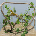 Coolrunner 8FT Reptile Vines and Flexible Reptile Leaves