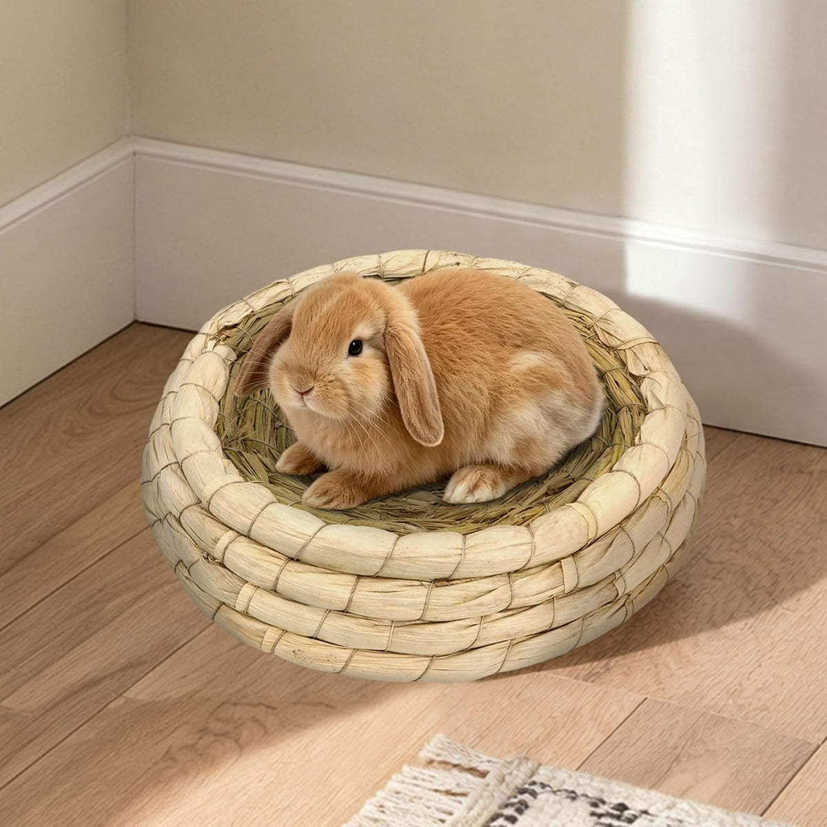 Hypeety Handwoven Straw Bird Nest Cage for Parrot Macaw African Greys Budgies House Hatching Breeding Cave Also for Dove Hamster Gerbil Chinchillas (L)