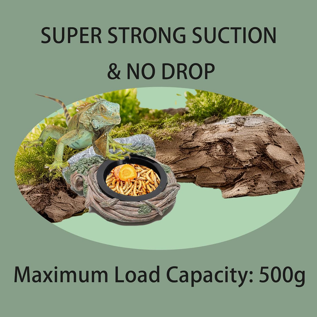 Reptile Feeding Ledge with 2 Cups, Hollow Vine Food Dish & Water Bowl for Bearded Dragon, Gecko, Lizard & Snake – Reptile Tank Accessories for Terrariums