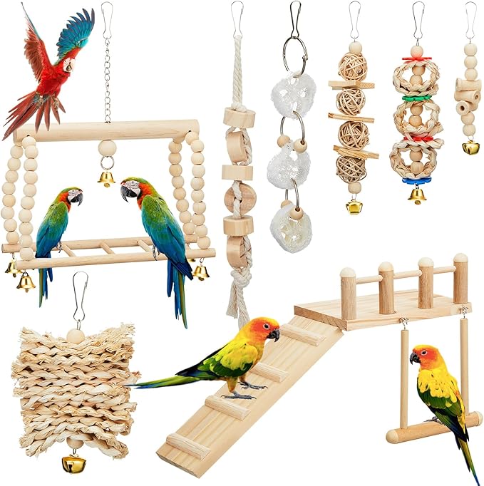 10 Pcs Parrot Swing Toys and Bird Perches Platform by Sonwyoung