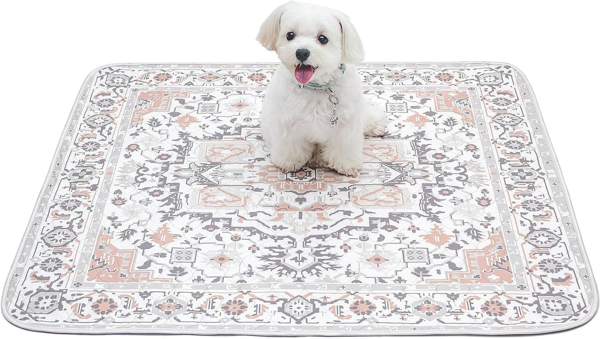 Paw Inspired Designer Light Persian Print Dog Pads, 36x36 Inch Size, 2 Pack